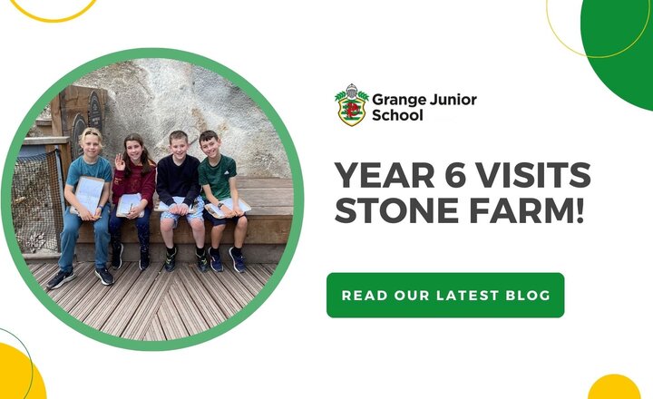Image of Year 6 Visits Stone Farm!